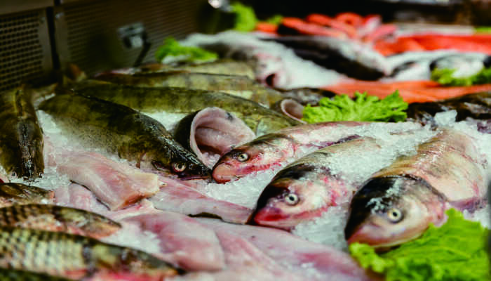 cara mengawetkan ikan secara alami modern agar tetap segar asin