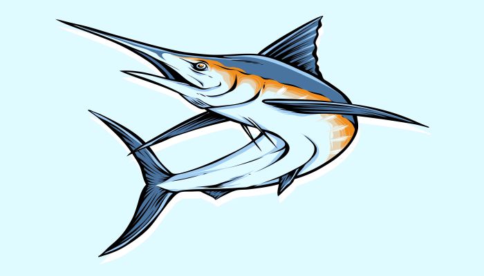 contoh gambar ikan pelagis perbedaan alat gerak demersal