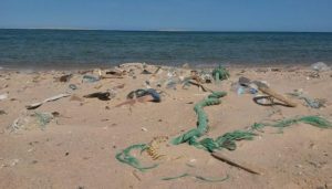 dampak negatif sampah plasti di pantai dan laut