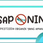 saponin adalah racun ikan