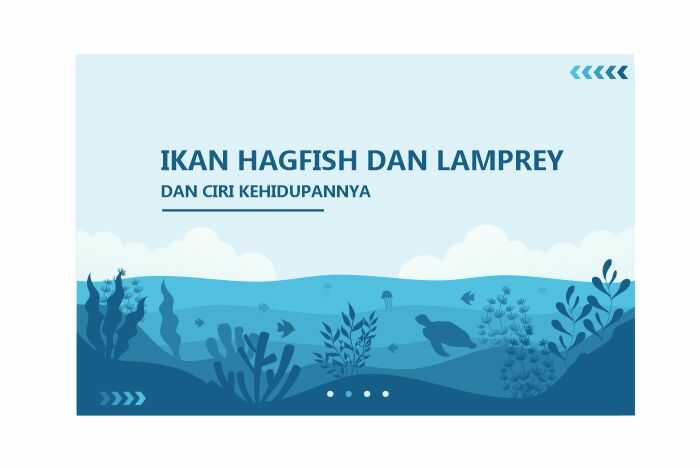 ikan hagfish lamprey