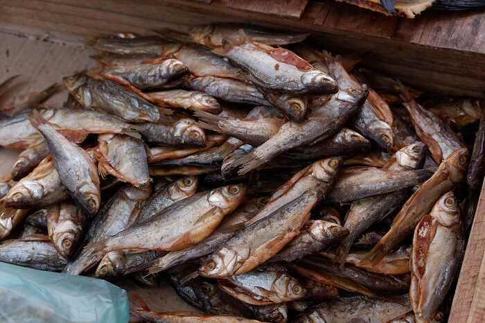 cara memilih ikan asin teri, haruan tanpa formalin karena bahaya