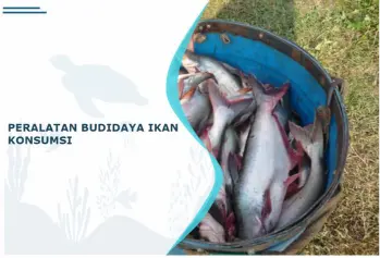 peralatan budidaya ikan konsumsi