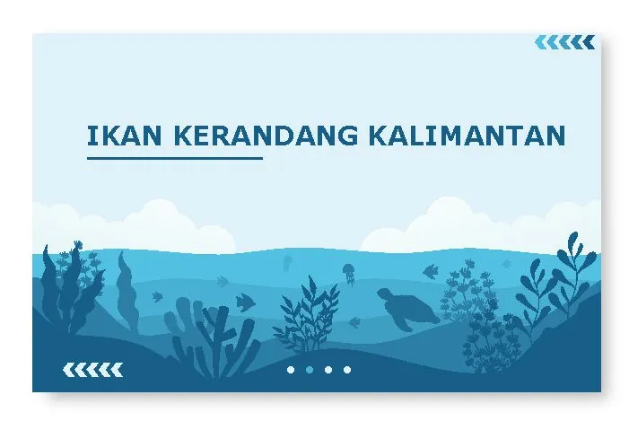 ikan kerandang kalimantan