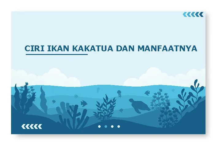 ciri ikan kakatua