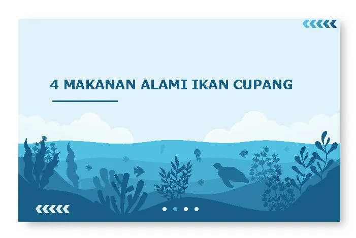 makanan alami ikan cupang