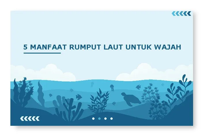 manfaat rumput laut untuk wajah