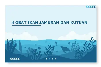 obat jamuran ikan koi