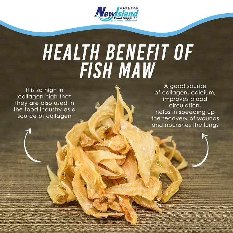 manfaat gelembung ikan atau fish maw