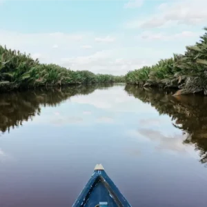 Air Sungai Jelai Payau, Berkah atau Bencana?