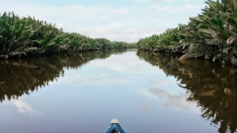 Air Sungai Jelai Payau, Berkah atau Bencana?